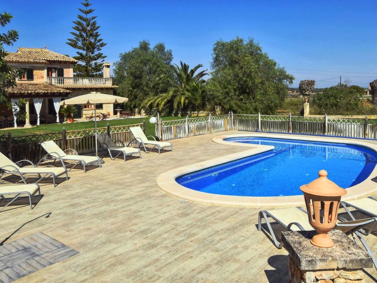 Finca mallorquine 6 chambres avec piscine à Costitx - Photo 2