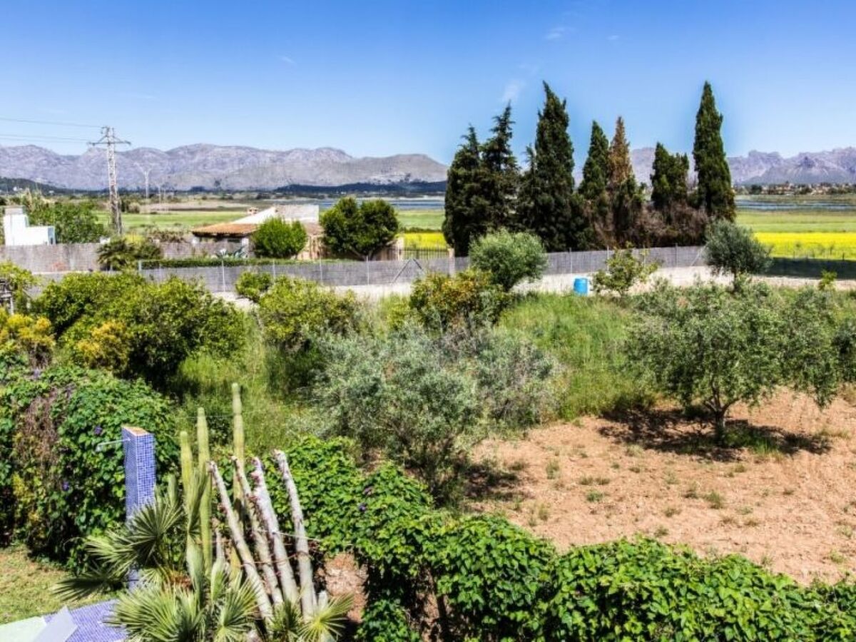 Villa Son Fanals : Finca 12 pers. avec piscine à Alcúdia - Photo 24