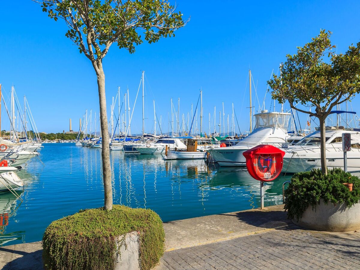 Villa Oscols d'Alt : maison 12 pers., piscine privée à Alcúdia - Photo 46