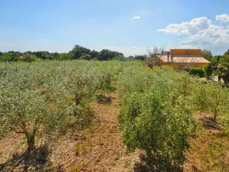 Maison rustique Búger, piscine privée et jardin 7100 m² : photo 24