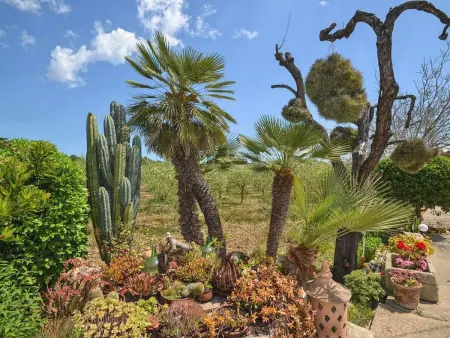 Maison rustique Búger, piscine privée et jardin 7100 m² : photo 25