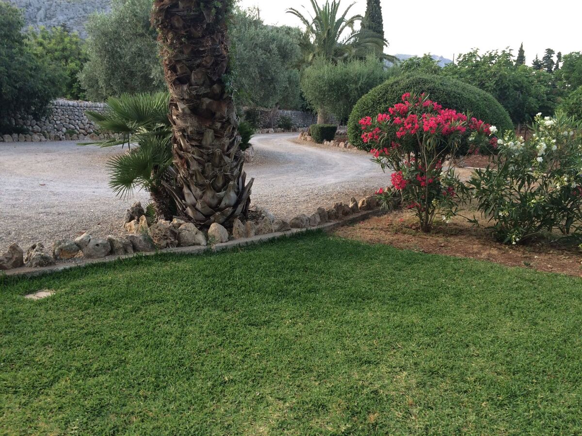 Maison 4 chambres avec piscine privée à Pollença - Photo 9