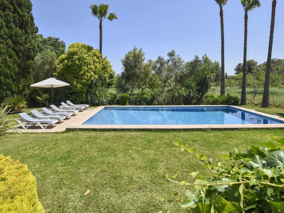 Maison 3 chambres avec piscine à Pollença, 5 min de la plage - Photo 33