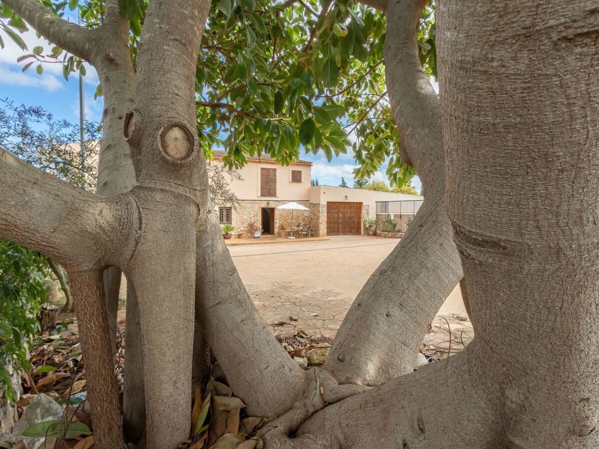 Finca Son Cladera – Maison 5 ch. avec piscine près Can Picafort - Photo 40