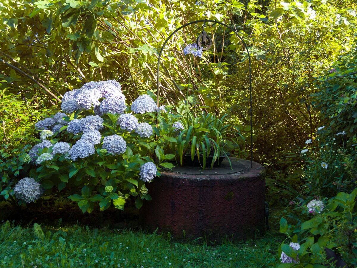 Maison Haus Lolo à Villanueva, jardin & barbecue - Photo 10