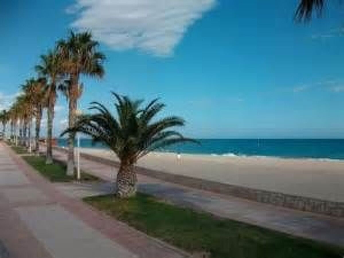 Appartement 75 m² face à la mer, Miami Platja - Photo 33