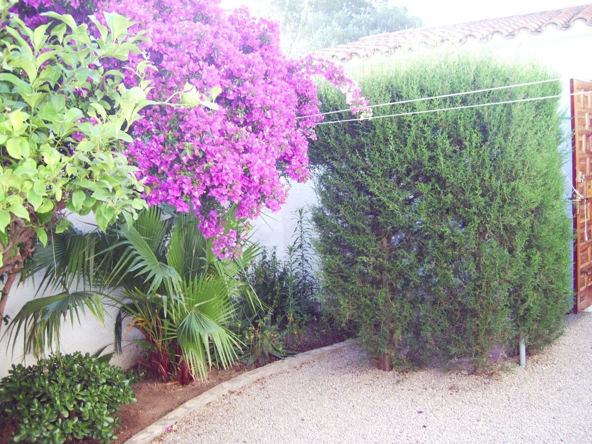Casa Is – Maison 3 chambres, jardin privé à Miami Platja - Photo 29