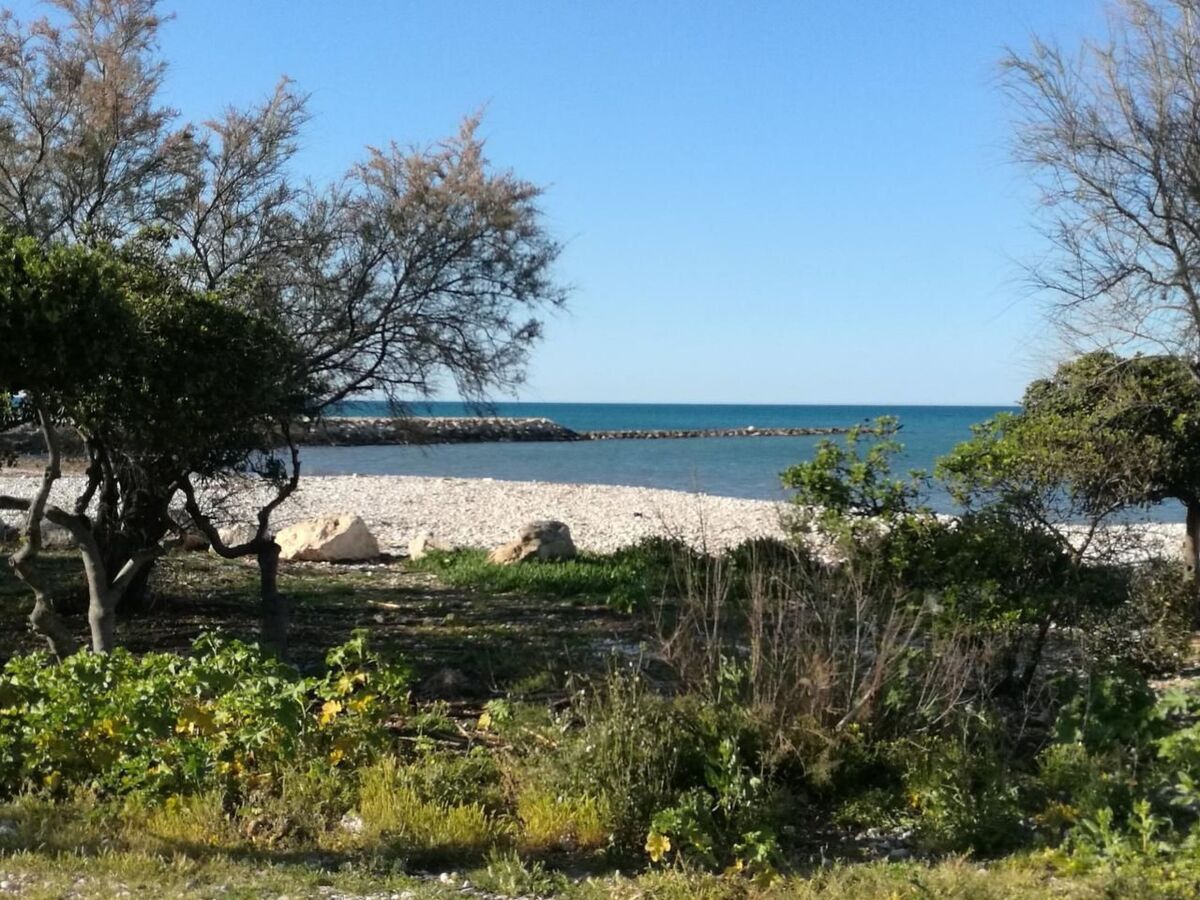 Appartement en bord de mer Els Poblets, barbecue privé - Photo 23