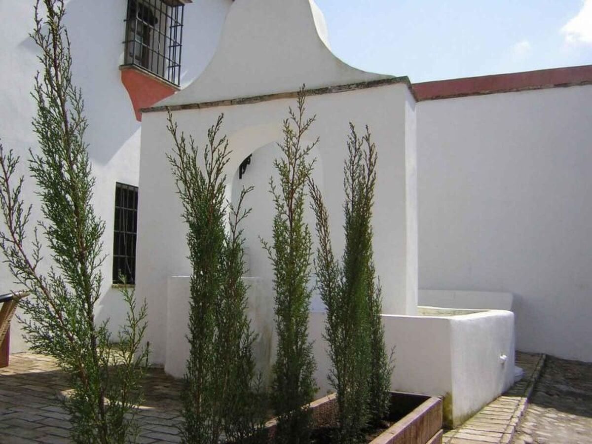 Maison rurale El Pozo à Ecija, piscine partagée - Photo 4