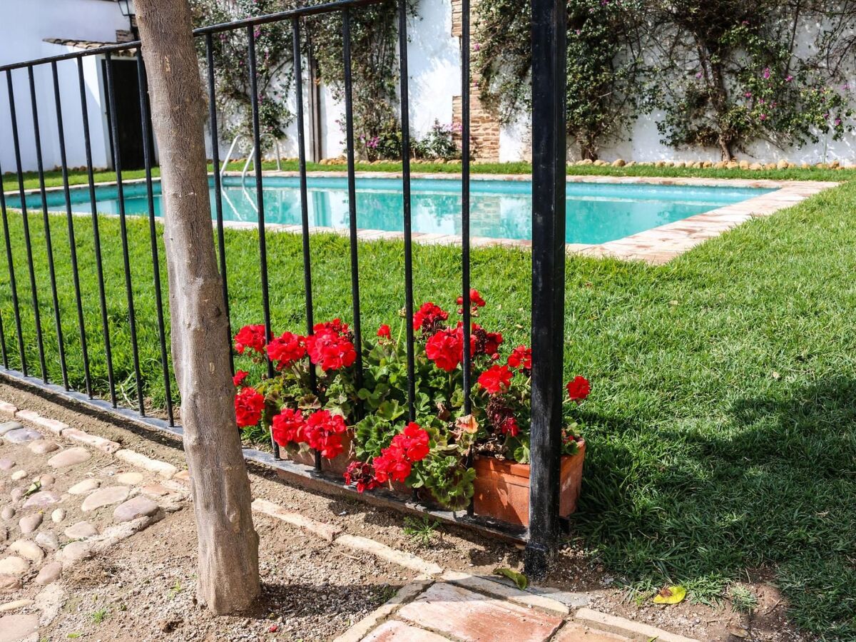 Maison rurale El Pozo à Ecija, piscine partagée - Photo 26