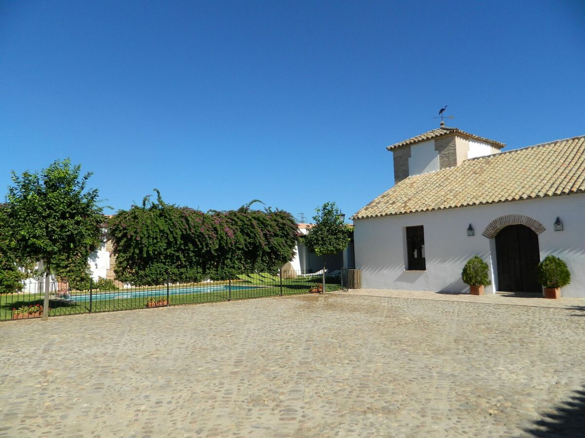 Casa del Molino, maison rurale 6 pers. à Ecija - Photo 36