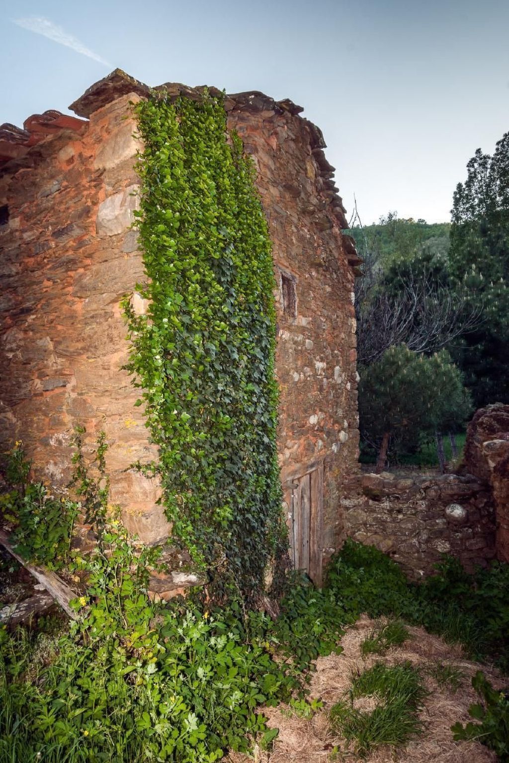 Maison rurale traditionnelle La Omañuela, 1 chambre - Photo 15