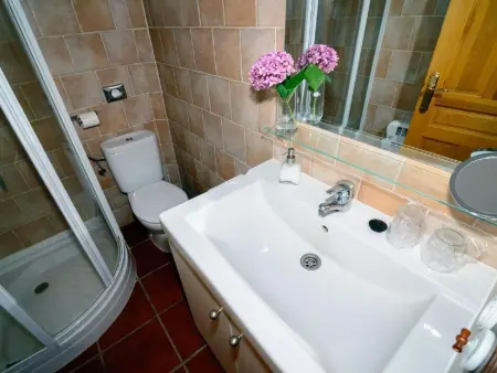 Appartement rural rénové 4 pers. à Benllera, Léon : photo 28