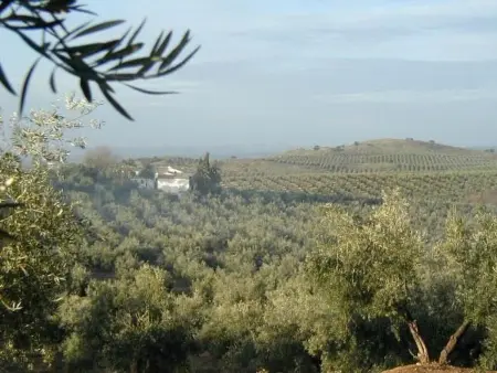 Haus La Cateta, Maison 4 personnes à Mancha Real - Photo 12