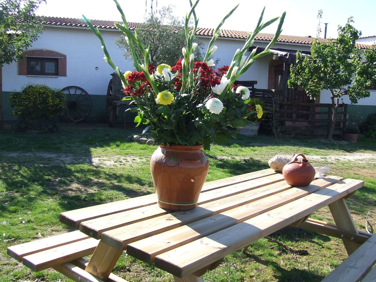 Casita El Chorrillo, appartement 4 pers. avec pool - Photo 20