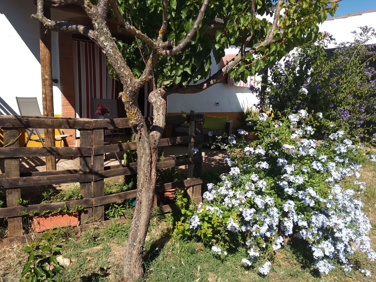 Studio Finca El Chorrillo sur le Camino de Santiago - Photo 3