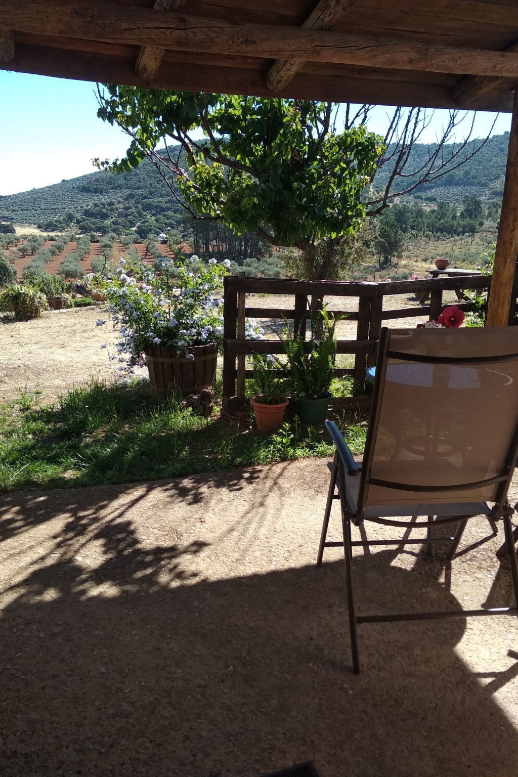 Studio Finca El Chorrillo sur le Camino de Santiago - Photo 4