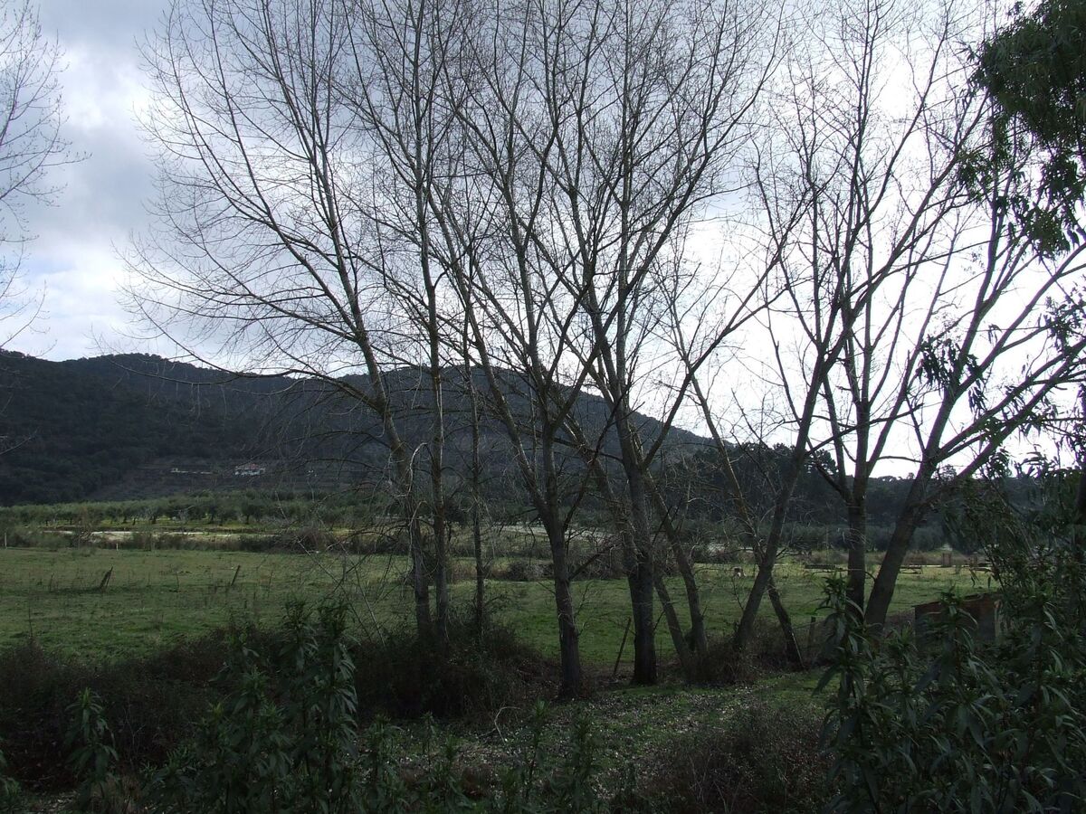 Studio Finca El Chorrillo sur le Camino de Santiago - Photo 14