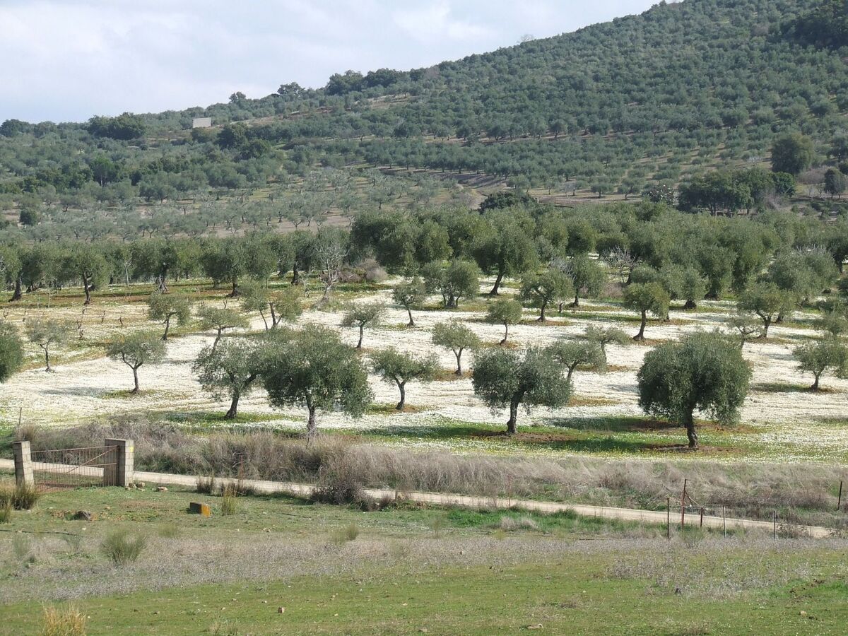 Studio Finca El Chorrillo sur le Camino de Santiago - Photo 25