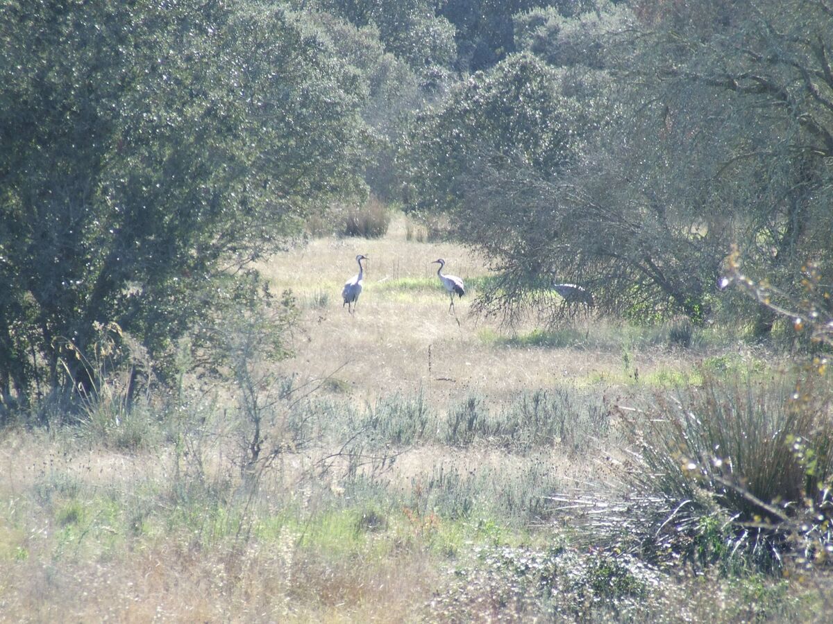 Studio Finca El Chorrillo sur le Camino de Santiago - Photo 27