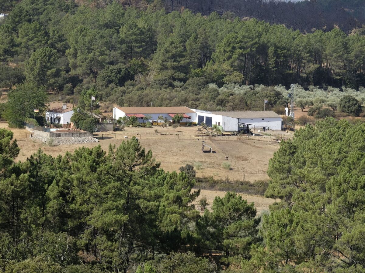 Studio Finca El Chorrillo sur le Camino de Santiago - Photo 29