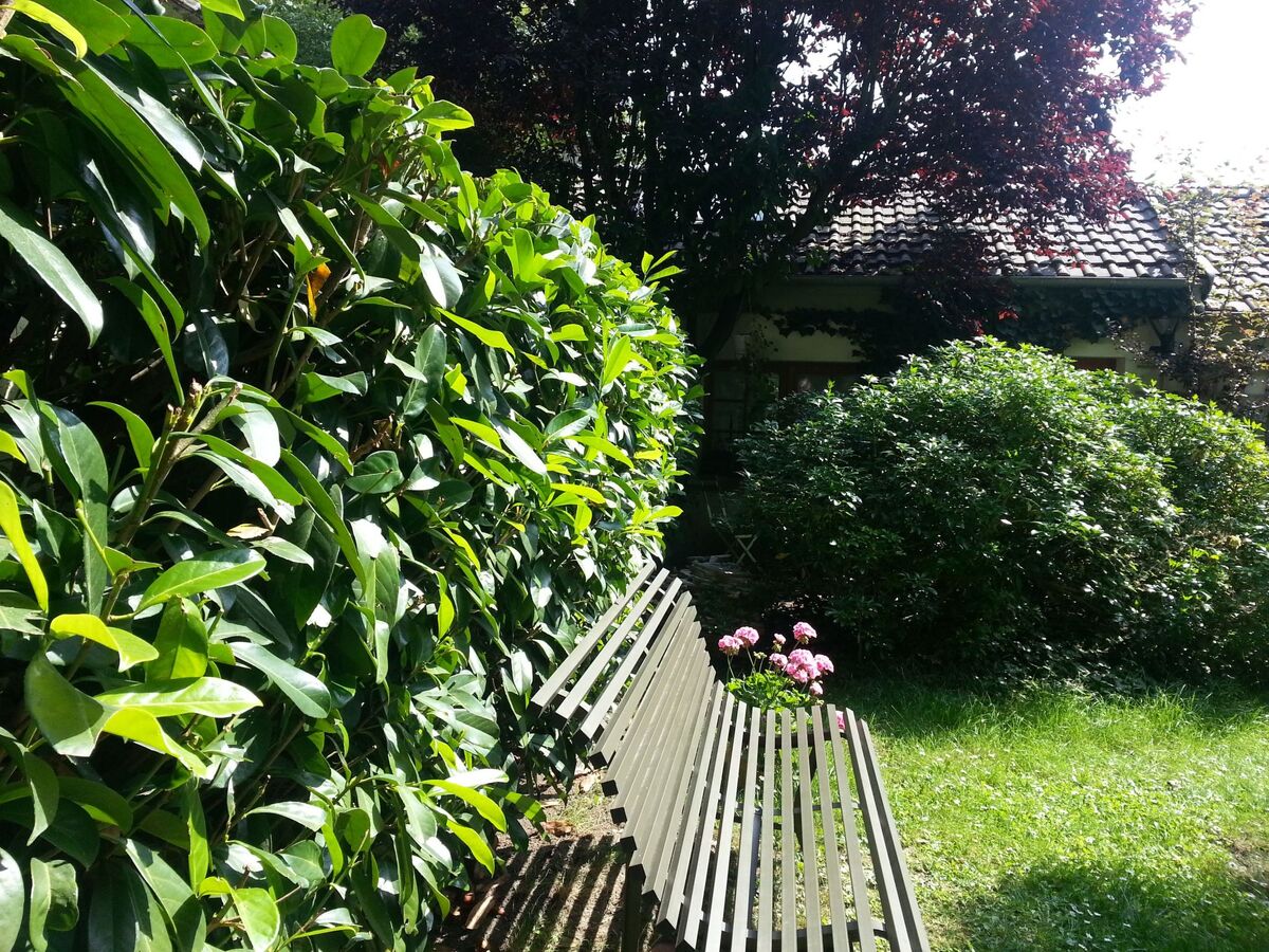 Appartement 2 pers. à Ville-d'Avray, à l'orée du bois - Photo 20