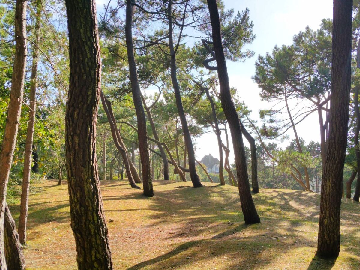 Maison 12 personnes près des plages du Touquet - Photo 12