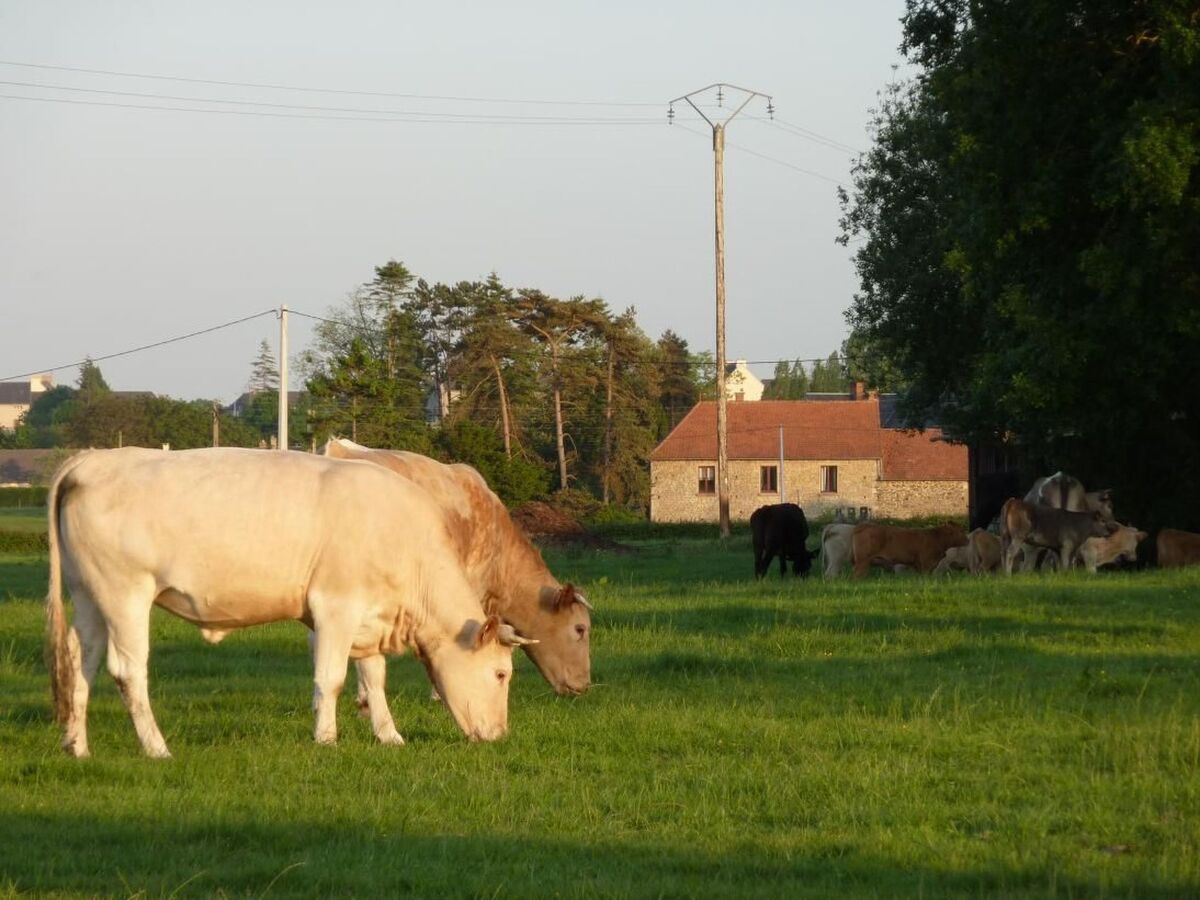 Studio rénové en grange au cœur du Cotentin - Photo 28