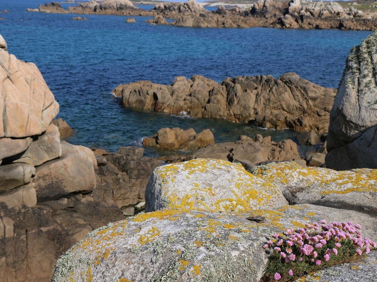 Studio rénové en grange au cœur du Cotentin - Photo 34