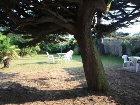 Maison Hiltbrunner, 13 pers., jardin 700m² à Quiberon : photo 42
