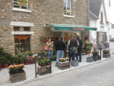 Maison Hiltbrunner, 13 pers., jardin 700m² à Quiberon : photo 48