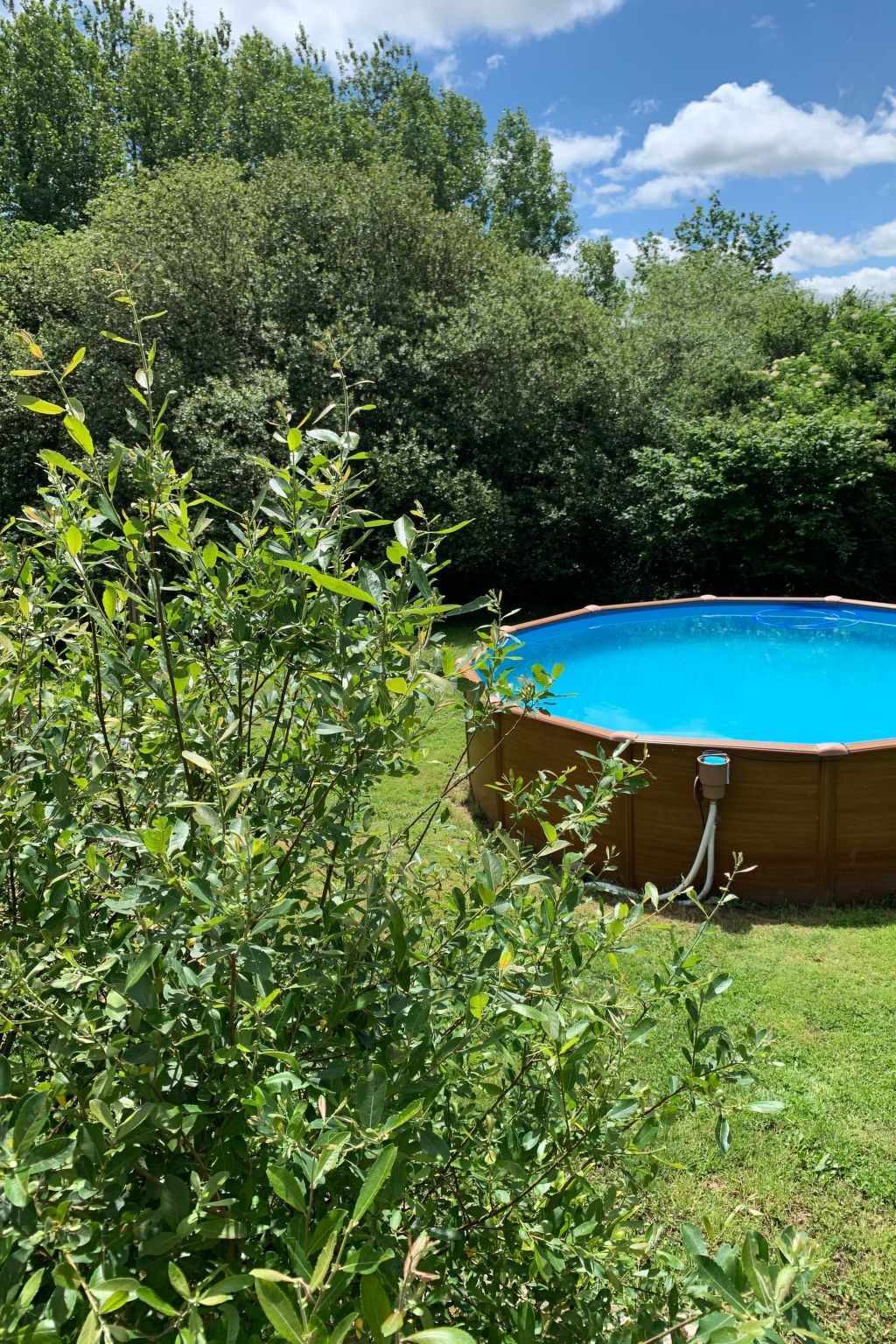 Ty Morgane - Maison bretonne avec piscine à Plounerin - Photo 12