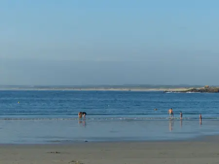 Maison 9 pers. Penmarc'h, 100m plage, vue mer : photo 31