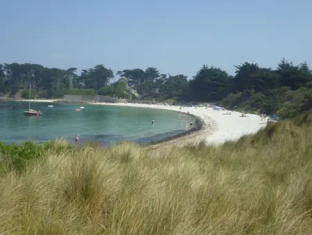 Maison face à la baie de Morlaix, 2 chambres, vue mer : photo 18