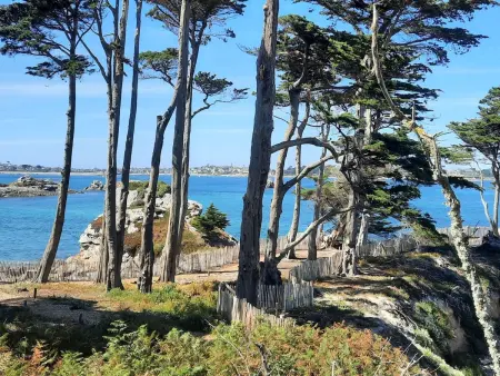 Maison face à la baie de Morlaix, 2 chambres, vue mer : photo 36
