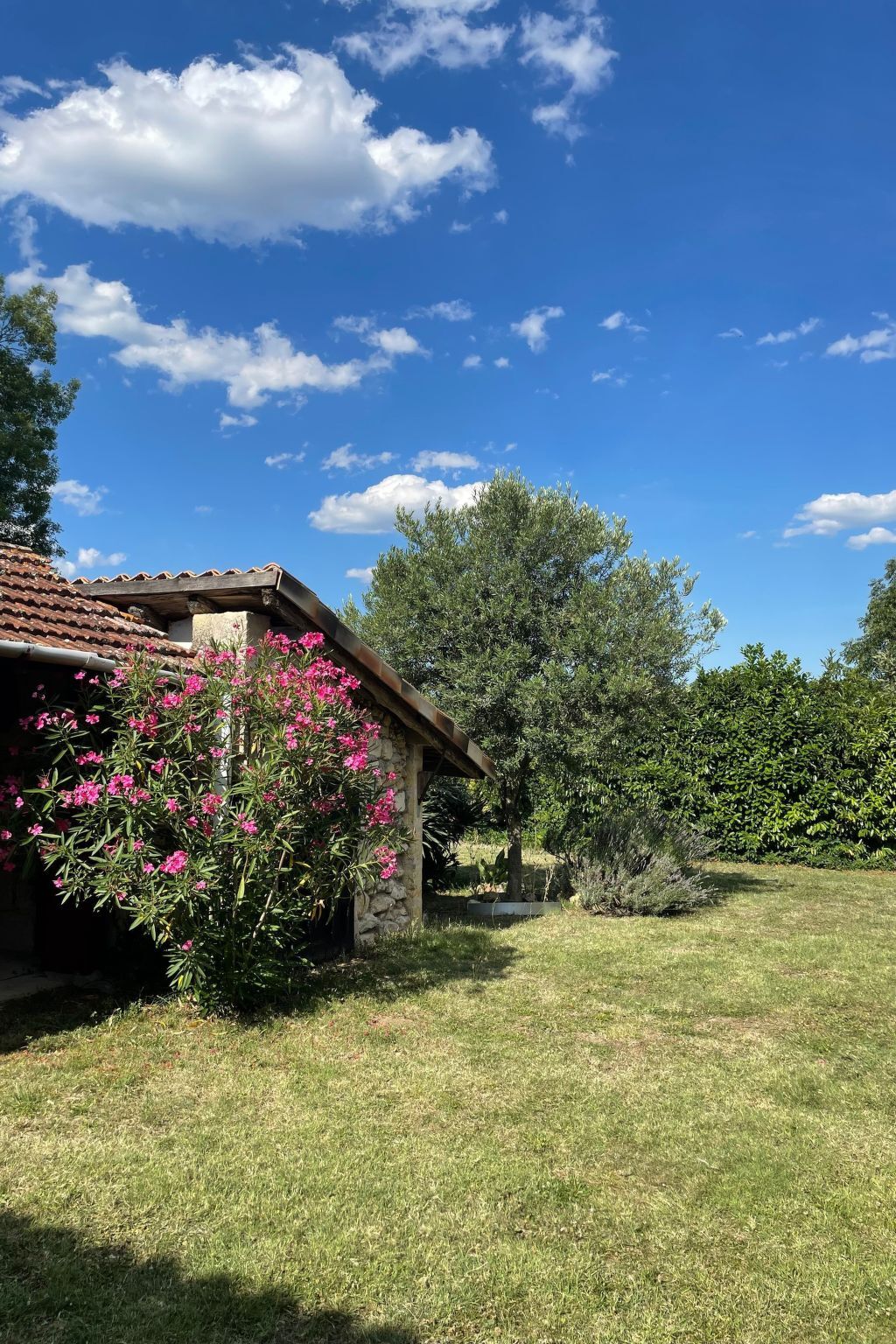 Maison en pierre avec piscine à Pujols - Photo 13