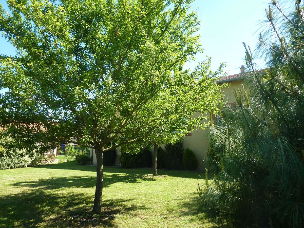 Maison 6 chambres pour 15 personnes à Damelevières - Photo 7