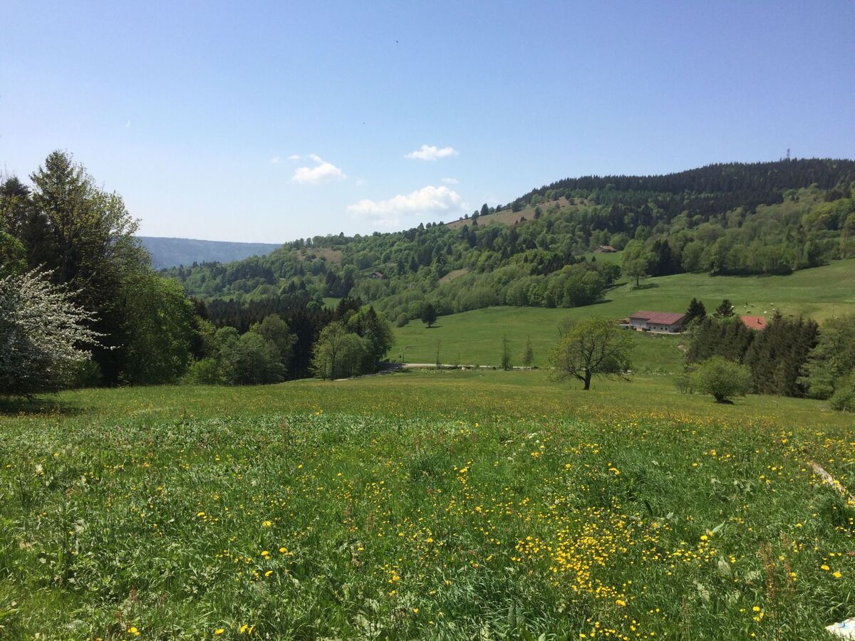Gîte 4 épis aux Vosges, terrasse vue montagne - Photo 13