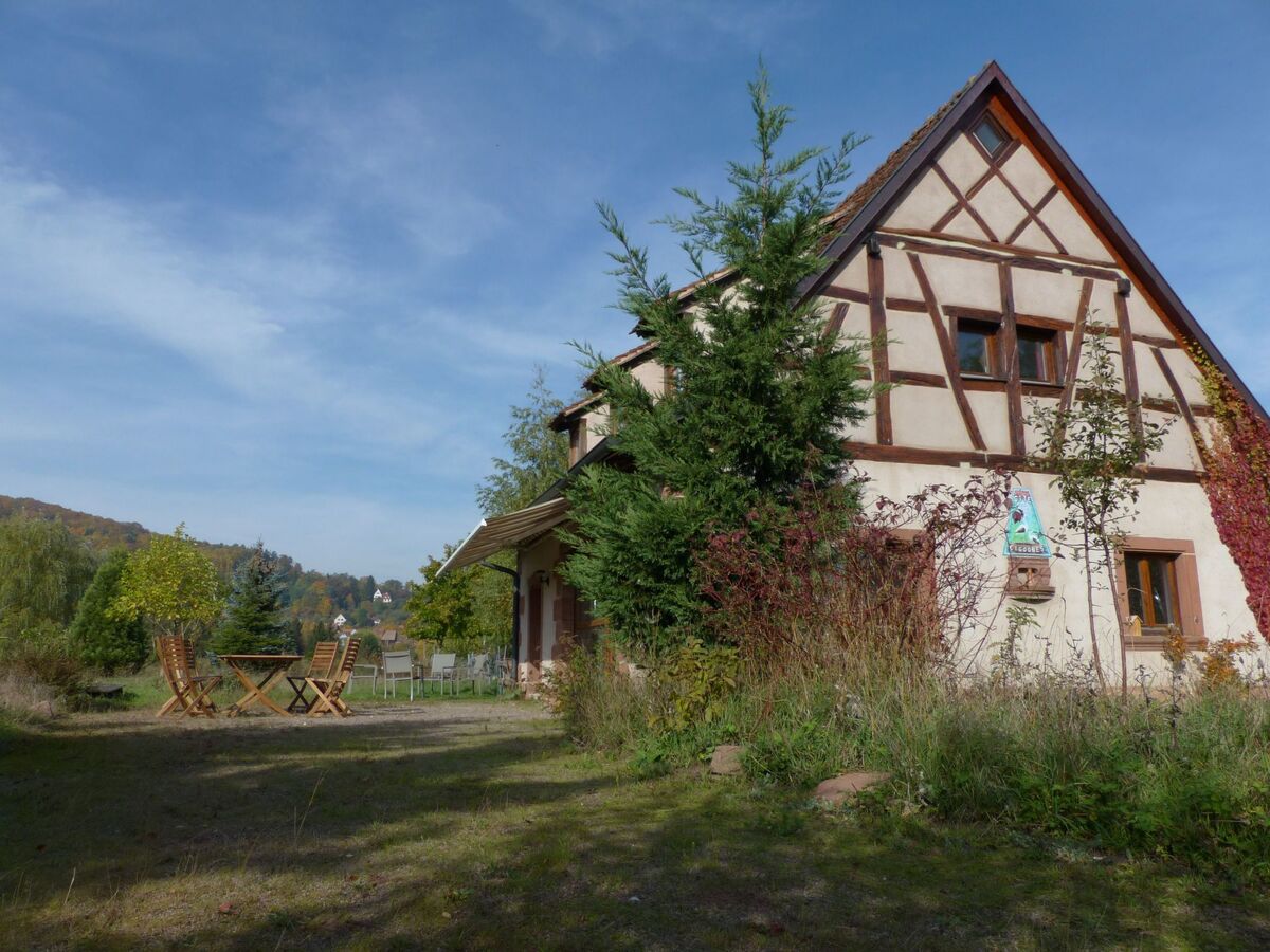 Maison alsacienne 12 pers. à Neuwiller, jardin biodiversité - Photo 2