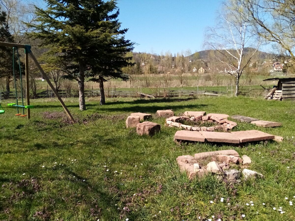 Maison alsacienne 12 pers. à Neuwiller, jardin biodiversité - Photo 23