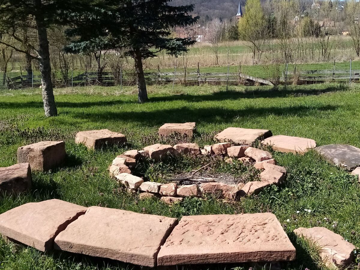 Maison alsacienne 12 pers. à Neuwiller, jardin biodiversité - Photo 25