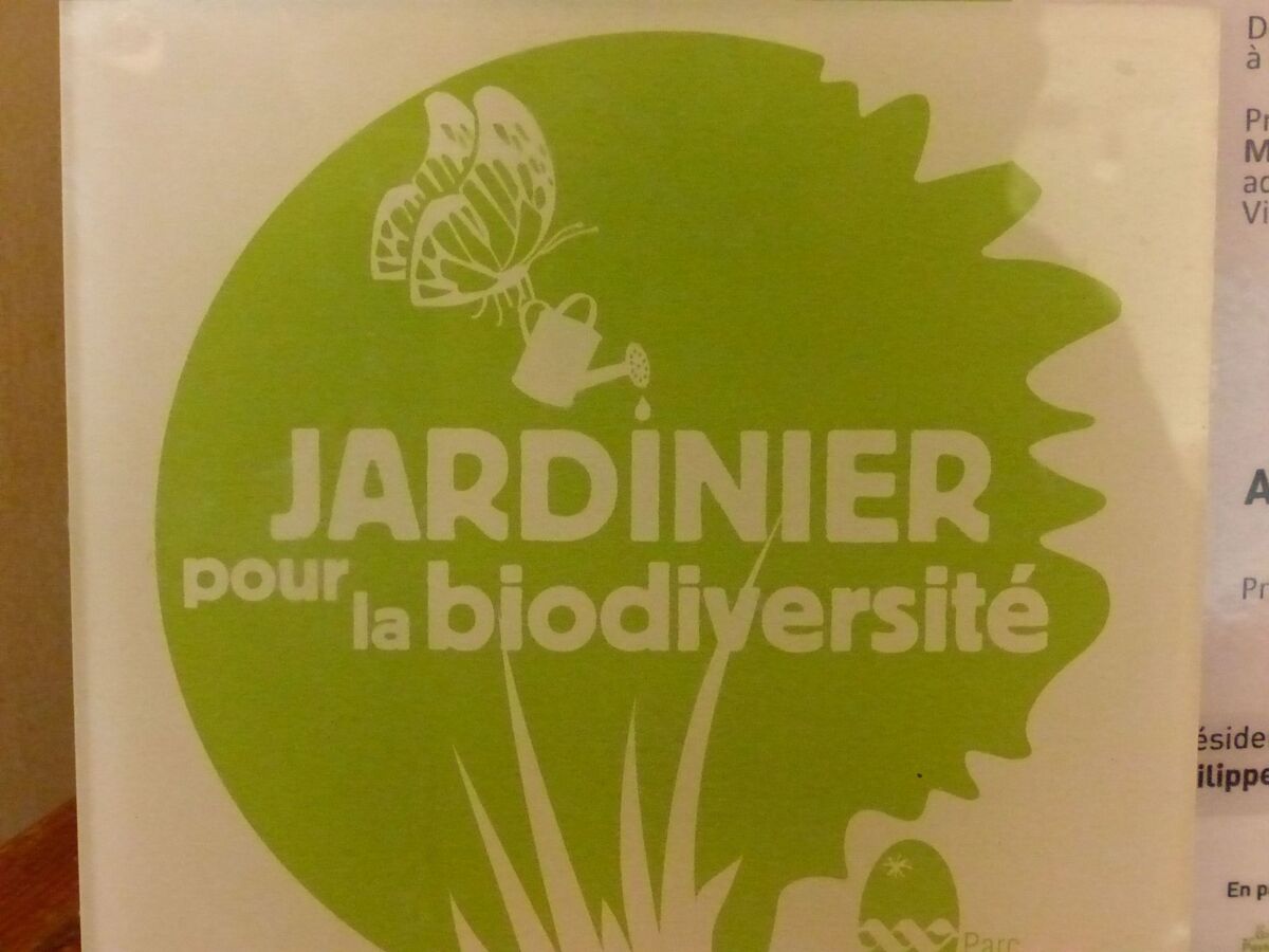 Maison alsacienne 12 pers. à Neuwiller, jardin biodiversité - Photo 36