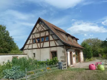 Location maison à Neuwiller lès Saverne, Domäne mit Terrasse, Grill und Garten