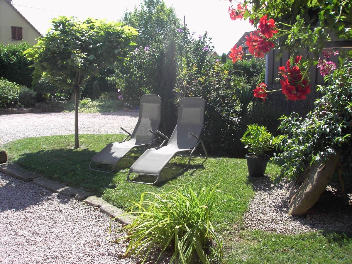 Loft indépendant avec grand jardin à Scherwiller - Photo 37