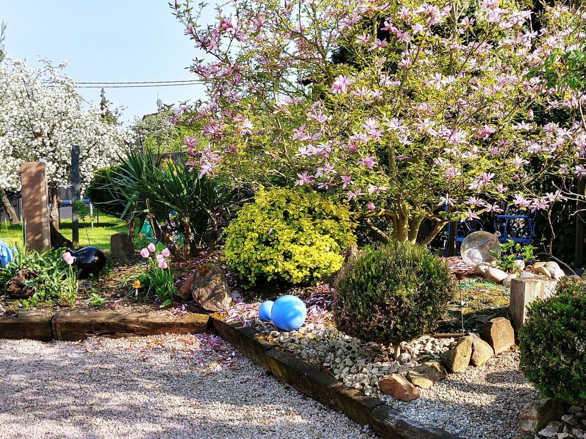 Loft indépendant avec grand jardin à Scherwiller - Photo 42
