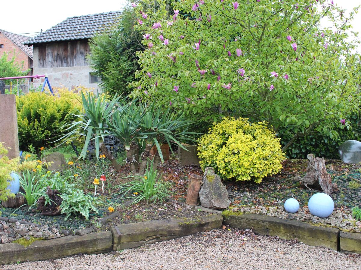 Loft indépendant avec grand jardin à Scherwiller - Photo 46