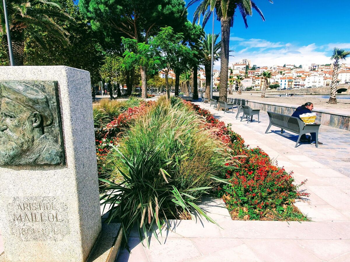 Studio 31m² vue mer à Banyuls-sur-Mer - Photo 12