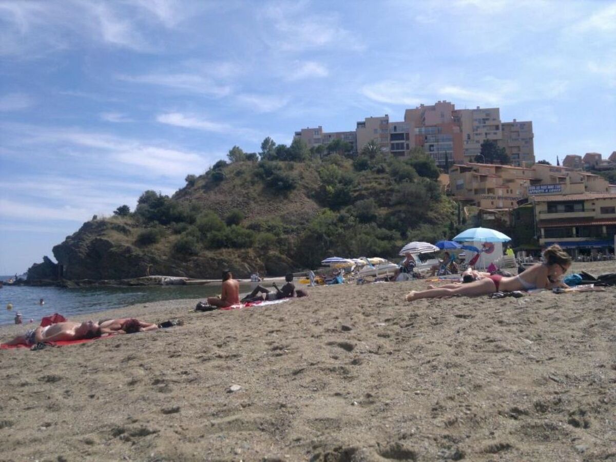 Studio 31m² vue mer à Banyuls-sur-Mer - Photo 17