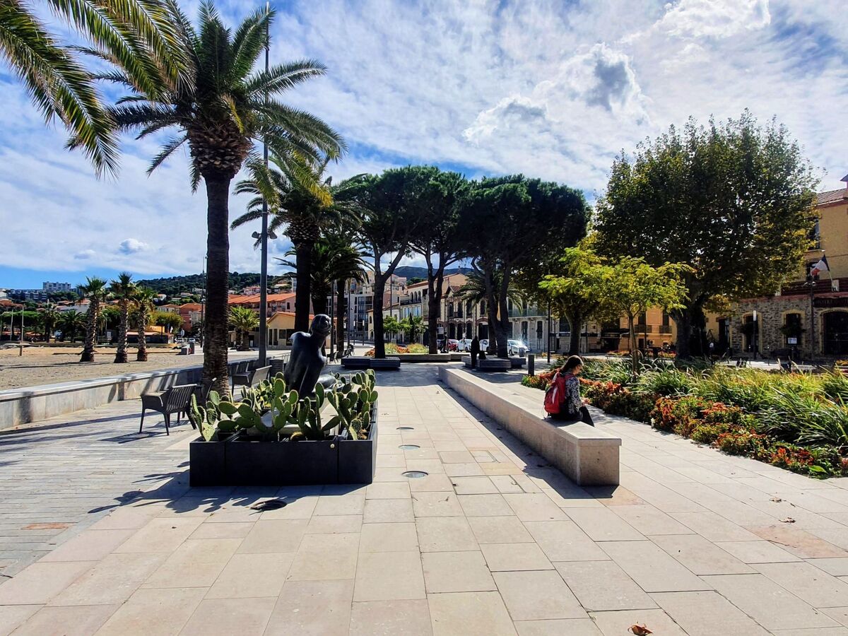 Studio 31m² vue mer à Banyuls-sur-Mer - Photo 20