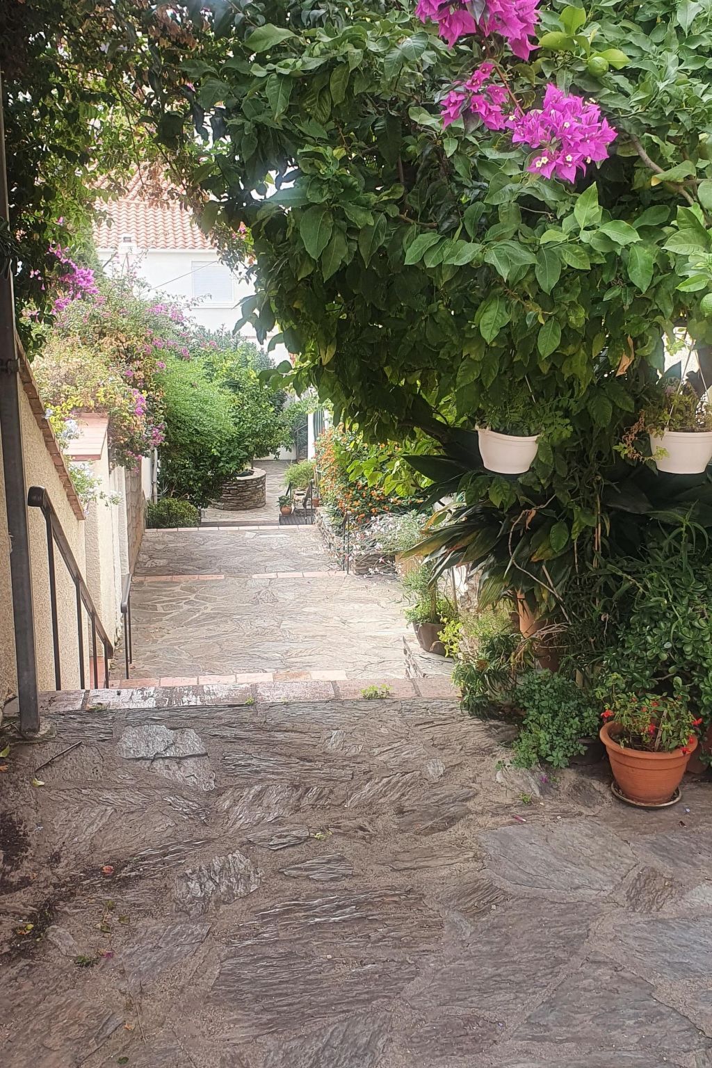 Studio 31m² vue mer à Banyuls-sur-Mer - Photo 40